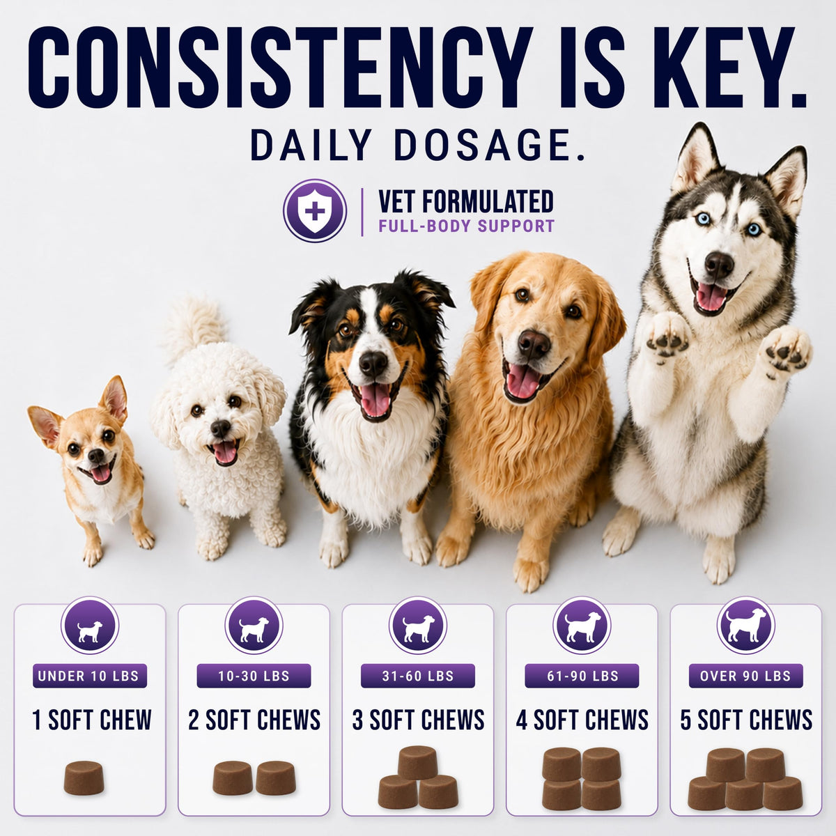 Dog Vitamins and Supplements, 250 Chews T8735