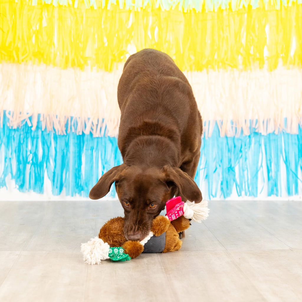 Plush Dog Toy A884