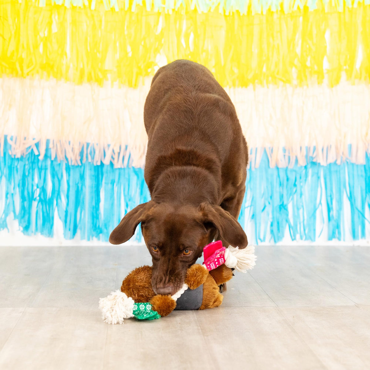 Plush Dog Toy A884