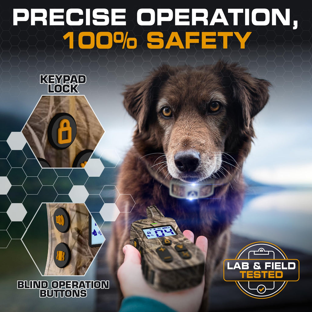 Dog Training Collar with Remote T32145
