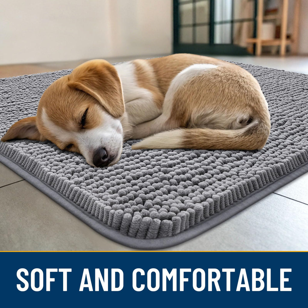 Dog Door Mat 30x20 X61447