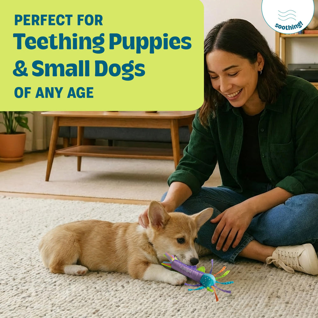 Cool Teething Stick Dental Dog Chew Toy F86290