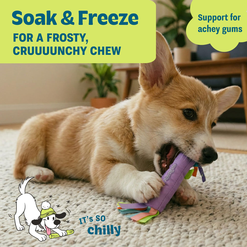 Cool Teething Stick Dental Dog Chew Toy F86290