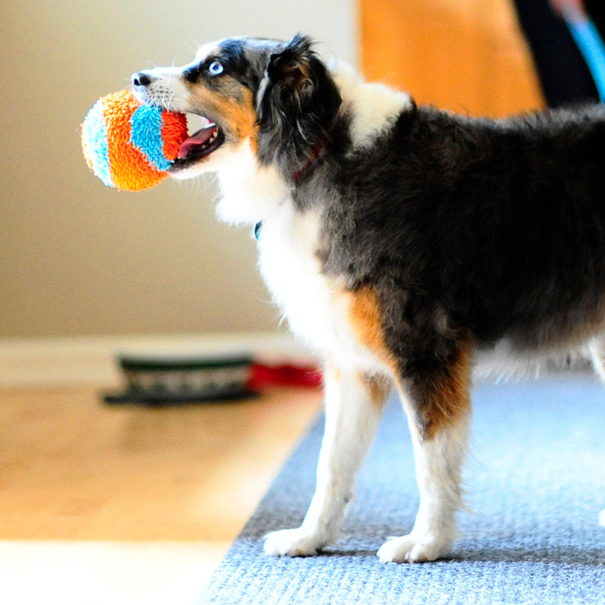 Indoor Fetch Ball Dog Toy, 4.75in, Orange and Blue B216469