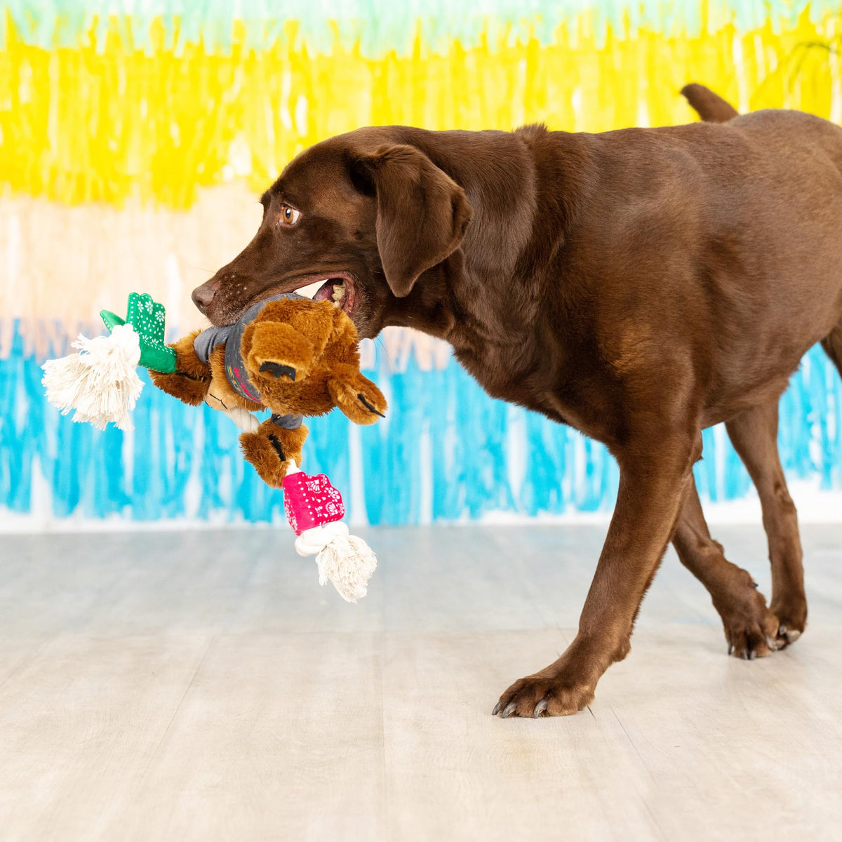 Plush Dog Toy A884