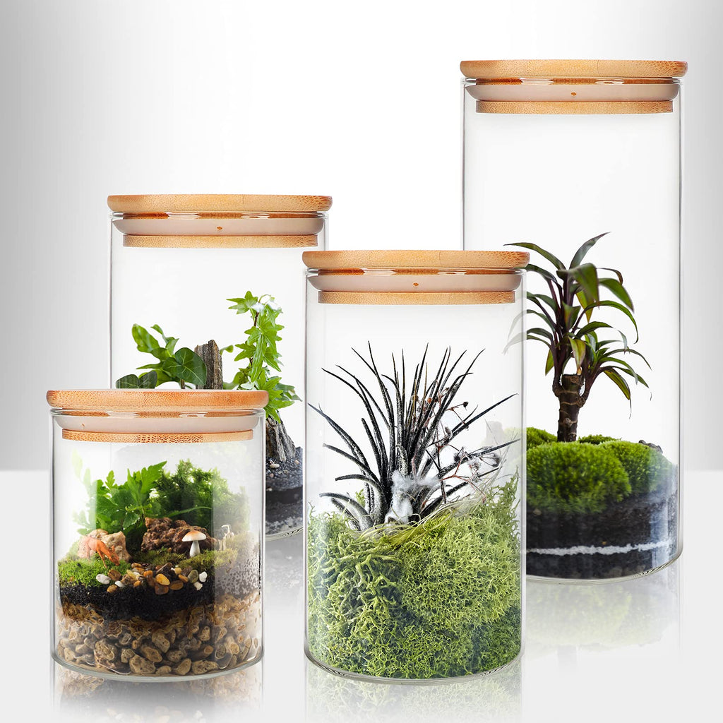 9 Pack 16 oz Glass Jars with Airtight Bamboo Lids X638