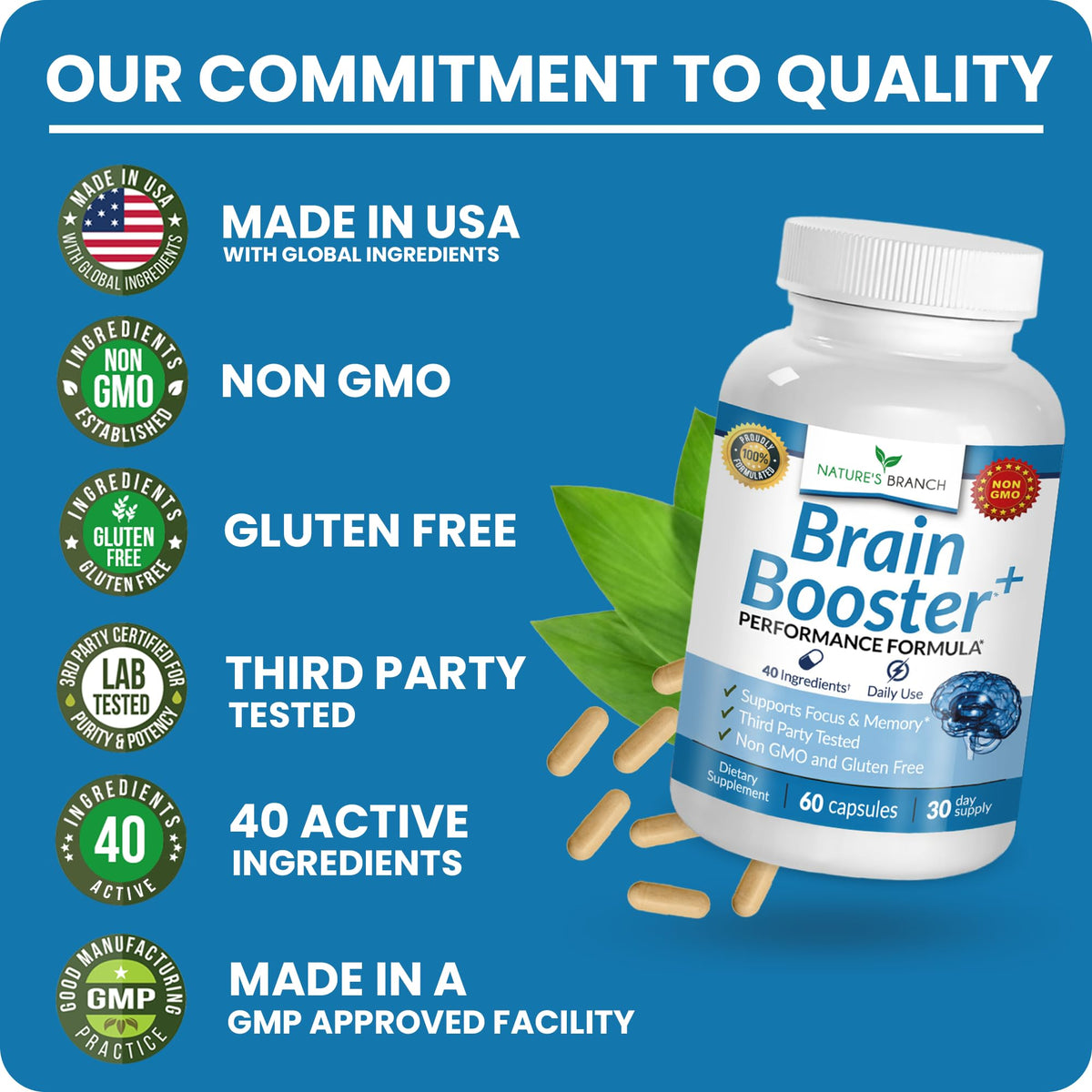 Brain Booster Supplement E142719