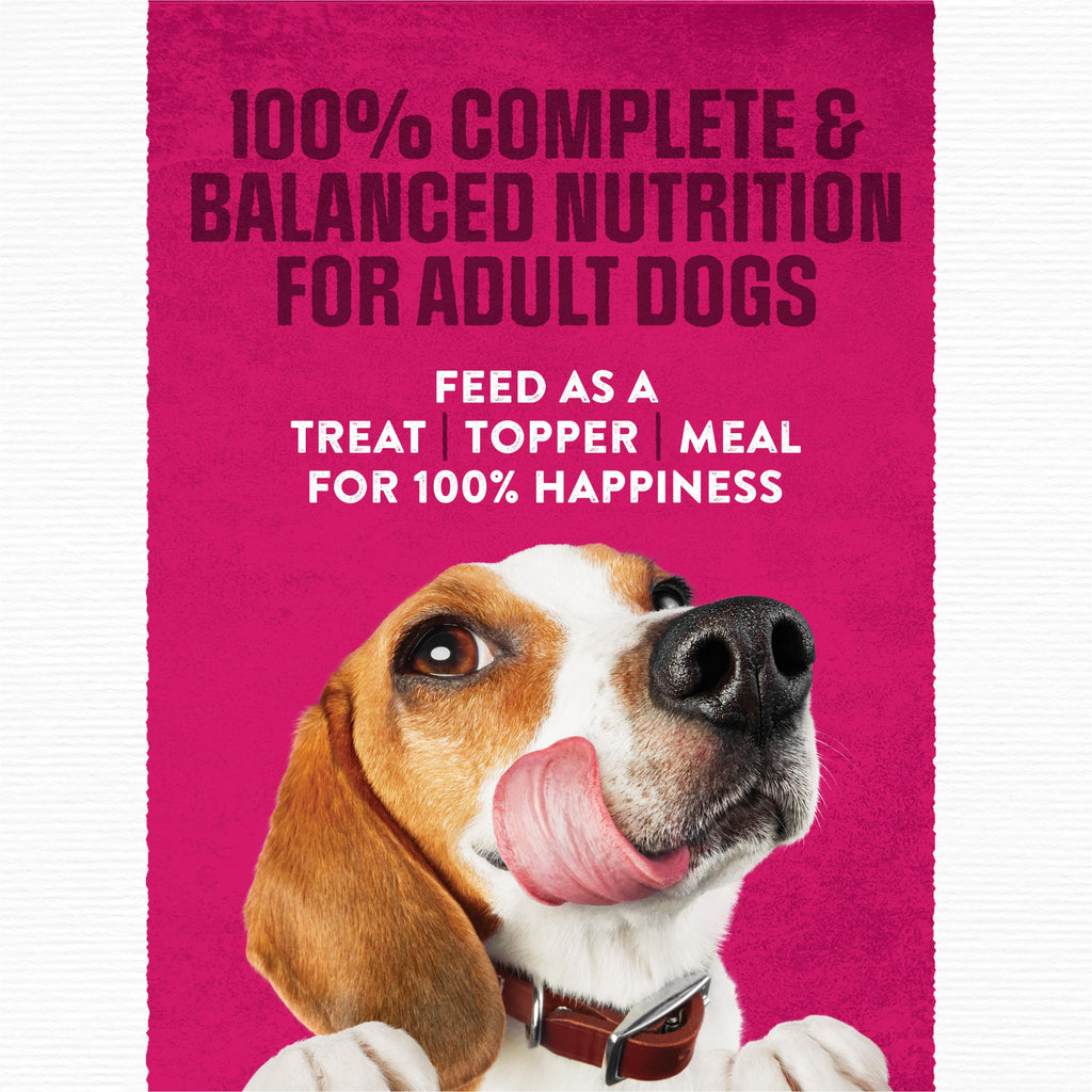 Moist & Meaty Soft Dog Food Pouches, 36 ct K964
