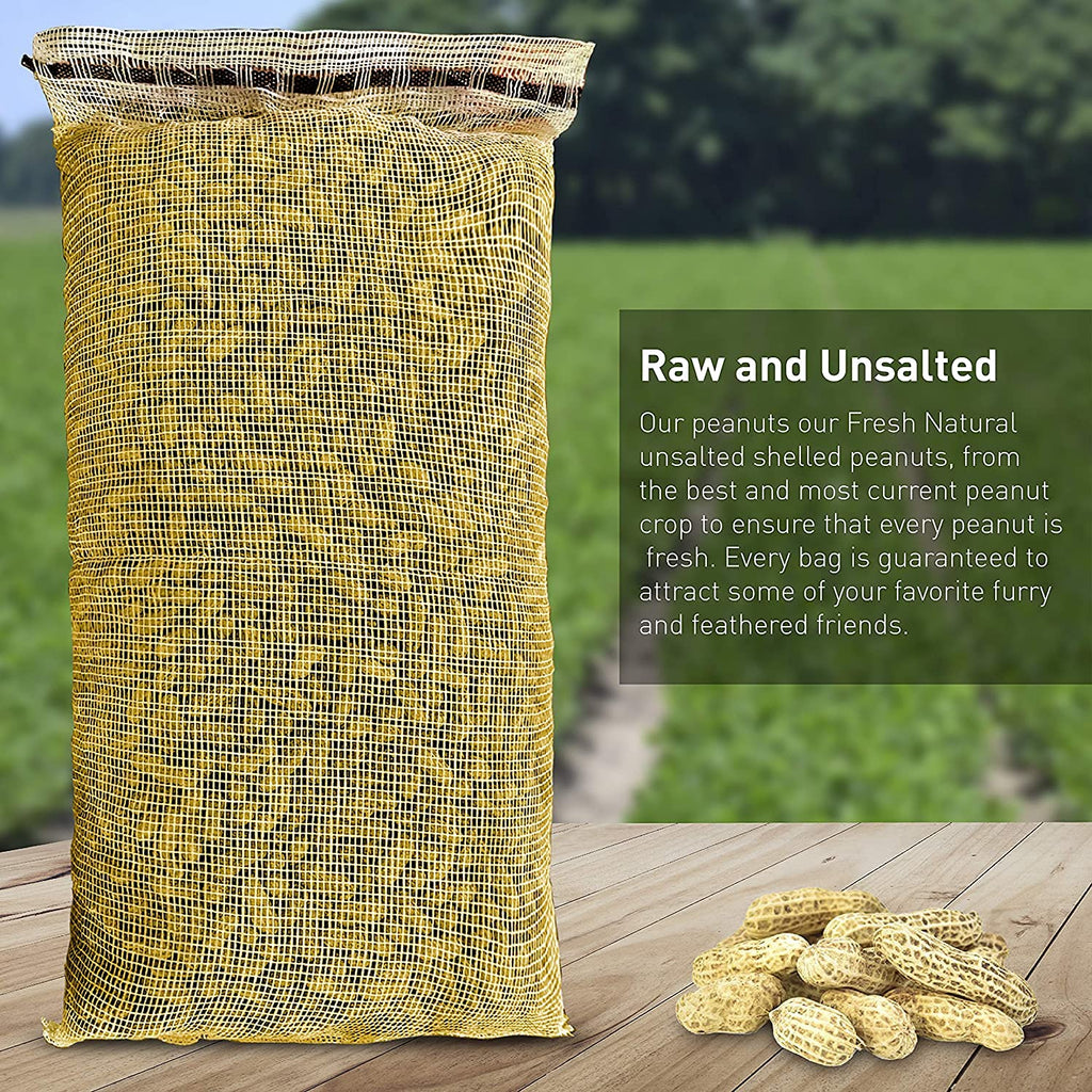 25 Pound Bag Raw Unsalted In-Shell Peanuts Q16816