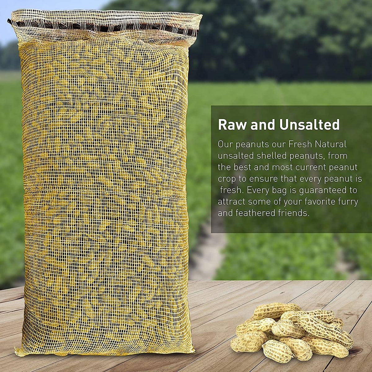 25 Pound Bag Raw Unsalted In-Shell Peanuts Q16816