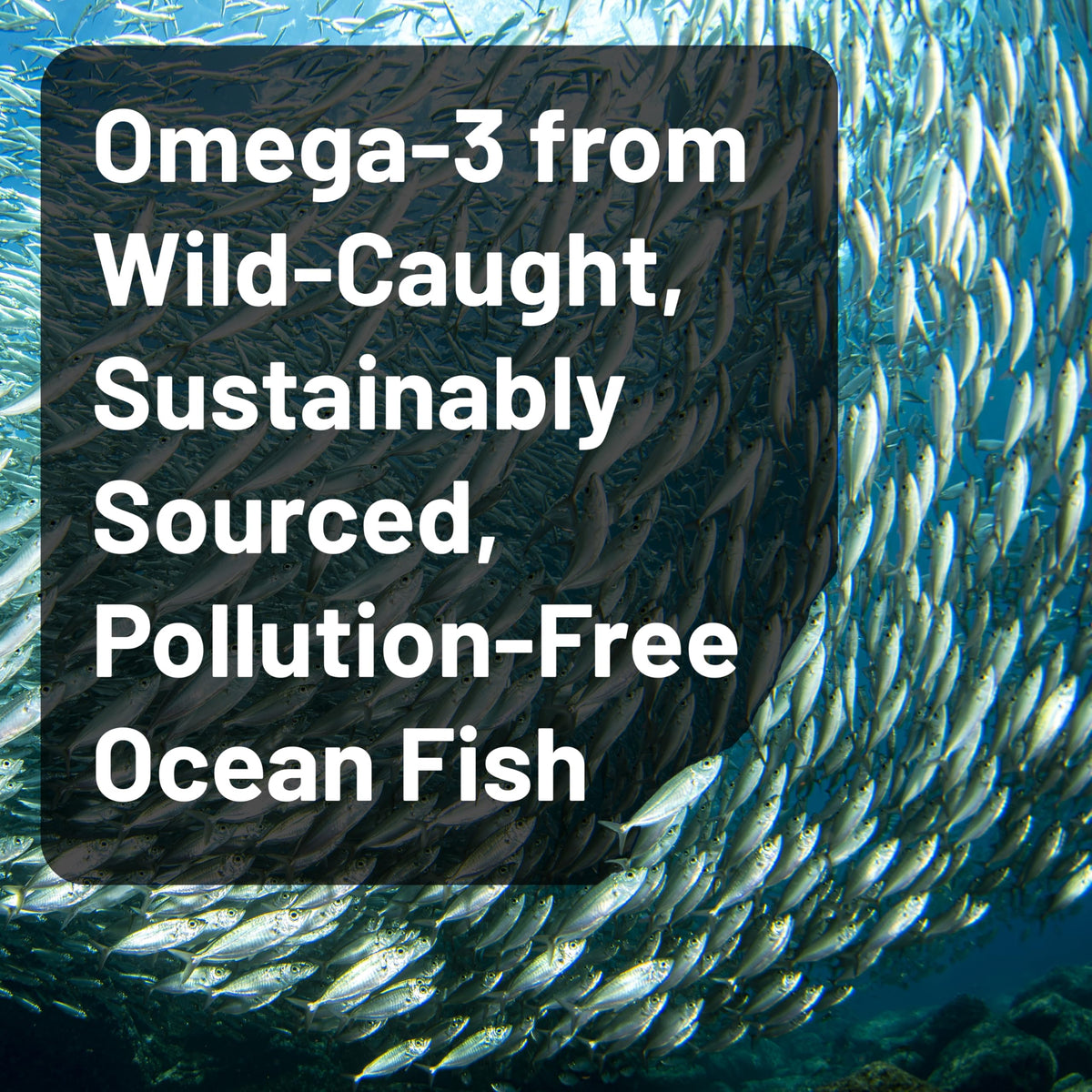 Omega 3 Fish Oil 4080mg Softgels W203